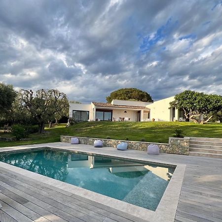 Magnifique Villa Moderne Avec Piscine La Gaude Bagian luar foto