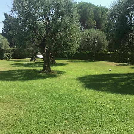 Magnifique Villa Moderne Avec Piscine La Gaude Bagian luar foto